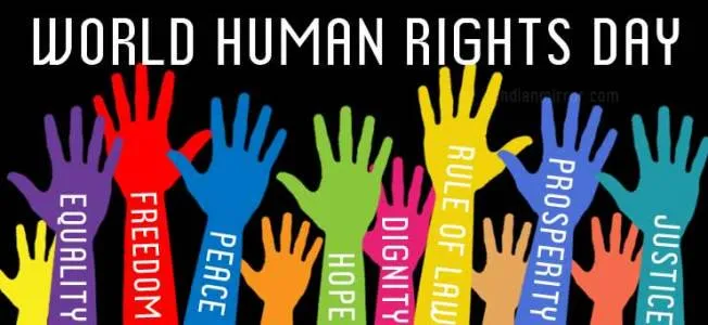Perlindungan Hak Asasi Manusia Internasional: Peran Lembaga Nasional Hak Asasi Manusia